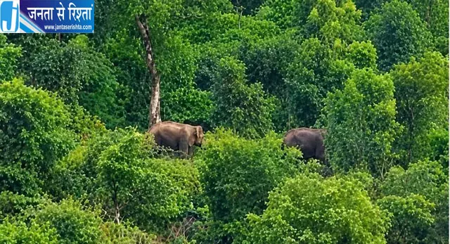 बांधवगढ़ से 250 किमी दूर प्रयागराज पहुंचे दो हाथी गांवों में दहशत वन विभाग अलर्ट बांधवगढ़ से 250 किमी दूर प्रयागराज पहुंचे दो हाथी गांवों में दहशत वन विभाग अलर्ट
