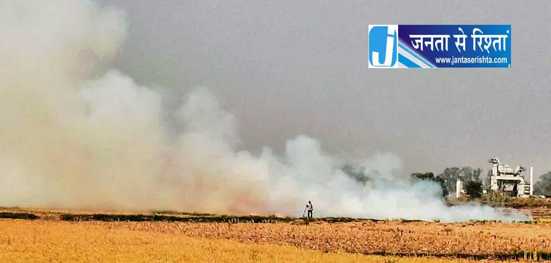Haryana में पराली प्रबंधन अभियान स्कूल-कॉलेजों तक Haryana में पराली प्रबंधन अभियान स्कूल-कॉलेजों तक