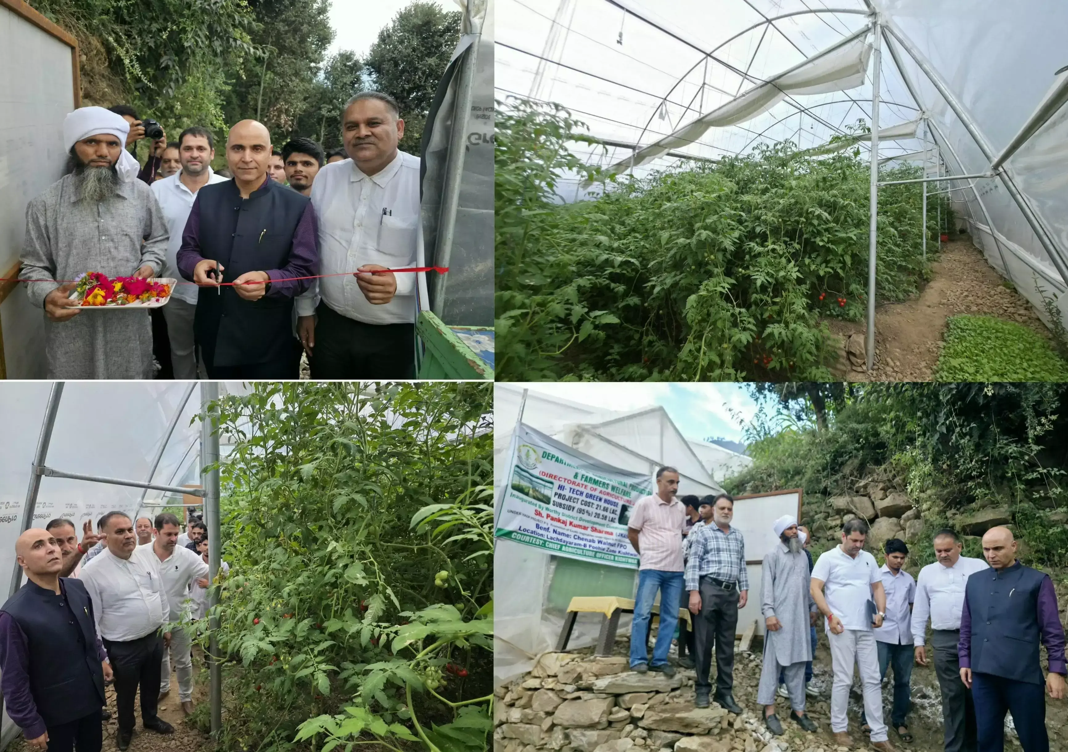 Jammu: हाईटेक पॉलीहाउस से बदलेगी किसानों की तस्वीर, जैविक टमाटर से लाखों की कमाई Jammu: हाईटेक पॉलीहाउस से बदलेगी किसानों की तस्वीर, जैविक टमाटर से लाखों की कमाई