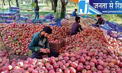रेल से कश्मीर के 25 हजार MT सेब भेजे गए