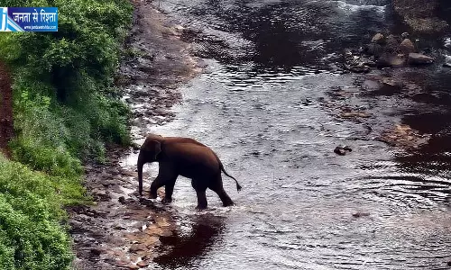 हाथी के खतरे को लेकर ग्रामीणों को जागरूक किया जा रहा