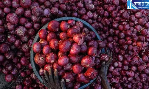 17 शहरों में 4000 टन सस्ता प्याज बिका