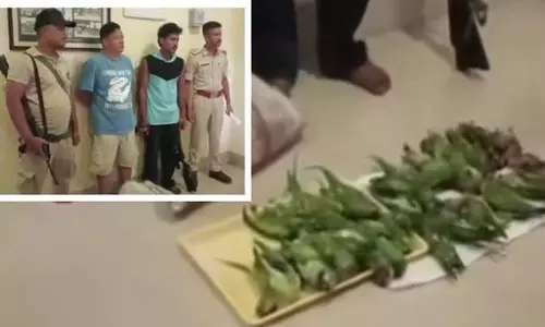 असम में तोतों का शिकार: 22 पक्षियों के शव बरामद, 2 गिरफ्तार असम में तोतों का शिकार: 22 पक्षियों के शव बरामद, 2 गिरफ्तार
