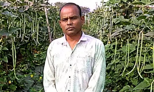 खेती का तरीका बदला तो बढ़ा उत्पादन और मुनाफा खेती का तरीका बदला तो बढ़ा उत्पादन और मुनाफा
