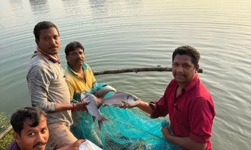 ताज़े पानी की आवक से मुश्किन झील को मिली नई ज़िंदगी ताज़े पानी की आवक से मुश्किन झील को मिली नई ज़िंदगी