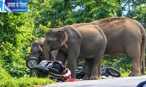 कोटद्वार में हाथियों का आतंक वाहन छोड़ भागे लोग कोटद्वार में हाथियों का आतंक वाहन छोड़ भागे लोग