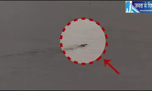 गेंगुटी नदी में दिखा मगरमच्छ ग्रामीणों में फैली दहशत गेंगुटी नदी में दिखा मगरमच्छ ग्रामीणों में फैली दहशत