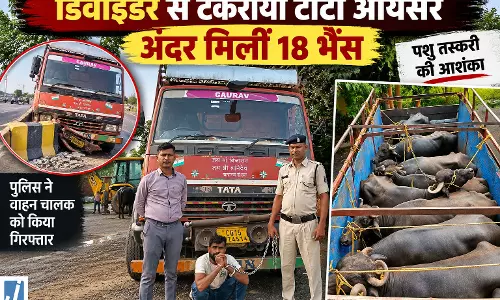 नाकाबंदी देख भागा, मवेशियों से भरा वाहन डिवाइडर से टकराया 18 भैंस बरामद नाकाबंदी देख भागा, मवेशियों से भरा वाहन डिवाइडर से टकराया 18 भैंस बरामद
