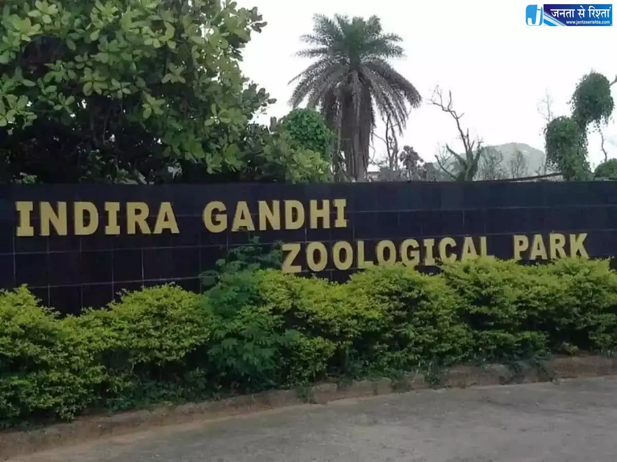 Andhra: ज़ेबरा, वालेबीज़, टैमारिन आईजीजेडपी पर पहुंचे Andhra: ज़ेबरा, वालेबीज़, टैमारिन आईजीजेडपी पर पहुंचे