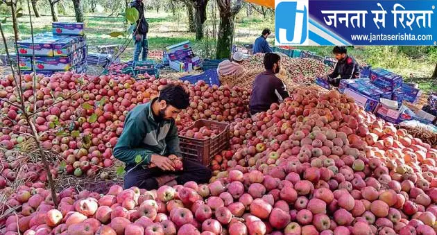 रेल से कश्मीर के 25 हजार MT सेब भेजे गए रेल से कश्मीर के 25 हजार MT सेब भेजे गए
