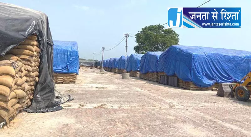 फाजिल्का में गेहूं की बोरियों का संकट फाजिल्का में गेहूं की बोरियों का संकट