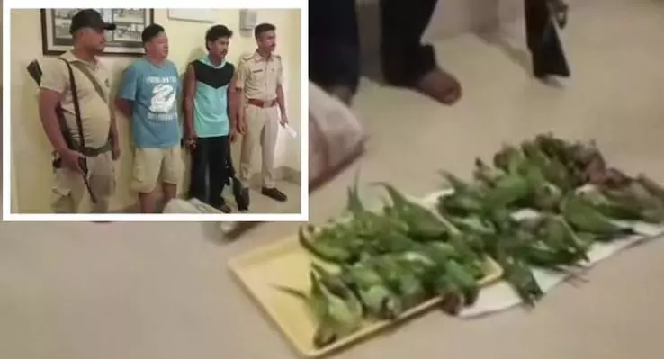 असम में तोतों का शिकार: 22 पक्षियों के शव बरामद, 2 गिरफ्तार असम में तोतों का शिकार: 22 पक्षियों के शव बरामद, 2 गिरफ्तार