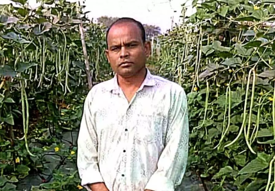 खेती का तरीका बदला तो बढ़ा उत्पादन और मुनाफा खेती का तरीका बदला तो बढ़ा उत्पादन और मुनाफा