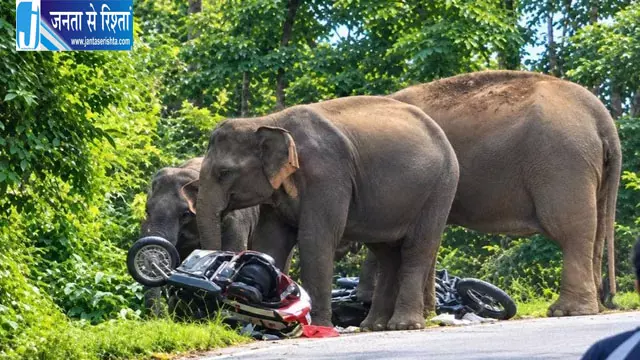 कोटद्वार में हाथियों का आतंक वाहन छोड़ भागे लोग कोटद्वार में हाथियों का आतंक वाहन छोड़ भागे लोग