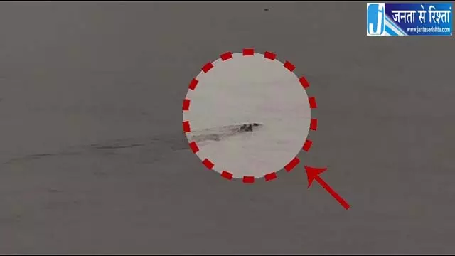 गेंगुटी नदी में दिखा मगरमच्छ ग्रामीणों में फैली दहशत गेंगुटी नदी में दिखा मगरमच्छ ग्रामीणों में फैली दहशत