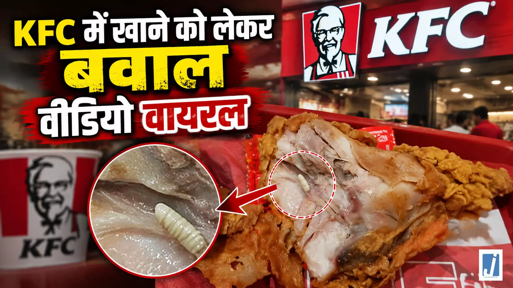 KFC चिकन में मिला कीड़ा, VIDEO वॉयरल... KFC चिकन में मिला कीड़ा, VIDEO वॉयरल...
