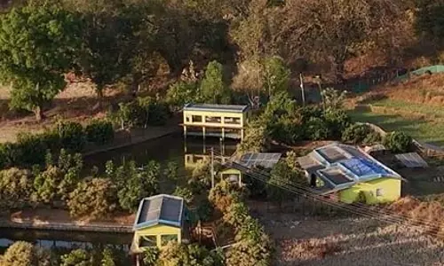 खेत बना आय का केंद्र, नवाचार ने बदली खेती की तस्वीर खेत बना आय का केंद्र, नवाचार ने बदली खेती की तस्वीर