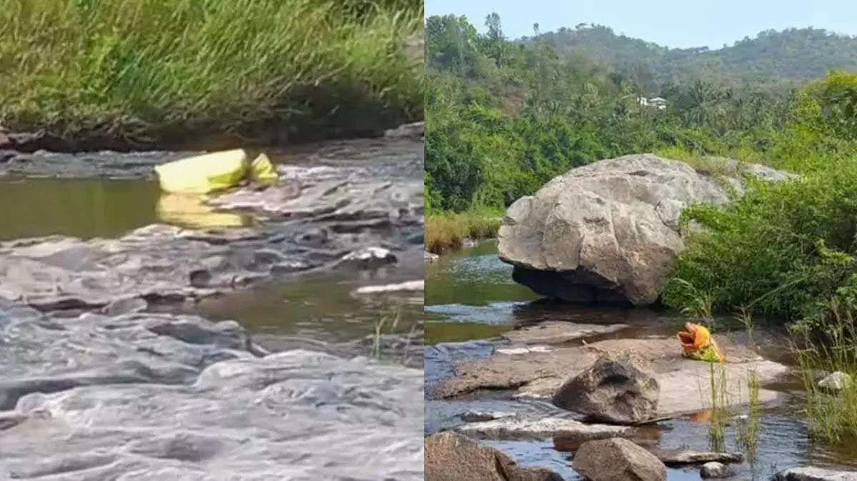 भवानी नदी में मिला माँ और बच्चे का शव, अट्टाप्पडी में सनसनी भवानी नदी में मिला माँ और बच्चे का शव, अट्टाप्पडी में सनसनी