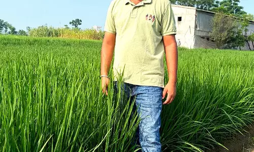 Punjab में टिकाऊ खेती से जगी नई उम्मीद, किसान दिखा रहे बदलाव की राह