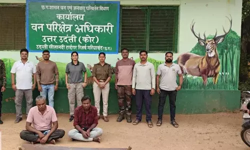 सागौन तस्करी का पुष्पा स्टाइल! वन विभाग-पुलिस ने प्लान कर दिया फेल