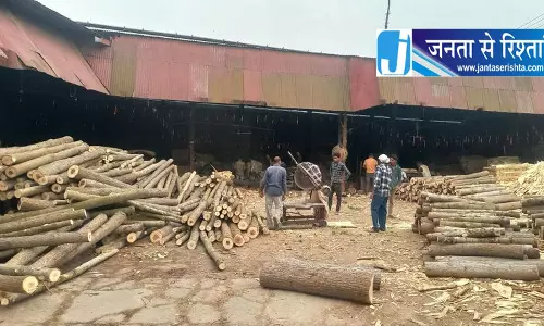 यमुनानगर में 40% प्लाईवुड यूनिट्स यूरिया-फ्री