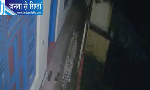 घर के आंगन में एक साथ पहुंचे तीन गुलदार, CCTV में कैद, खिड़की से अंदर घुसने की कोशिश