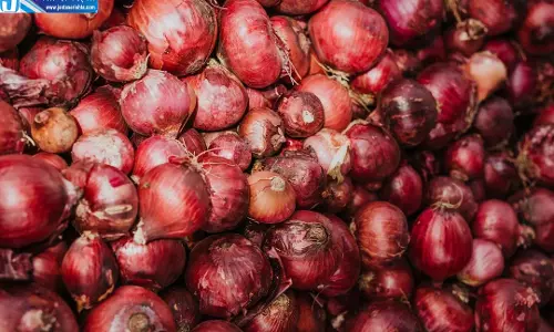 प्याज ने फिर बिगाड़ा रसोई का बजट, खुदरा भाव 70 रुपये किलो तक पहुंचा