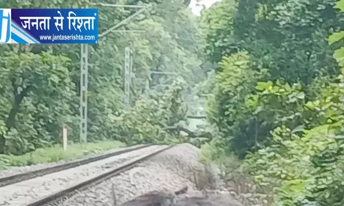 चलती ट्रेन के सामने गिरा विशाल पेड़ लोको पायलट ने ऐसे टाला बड़ा हादसा