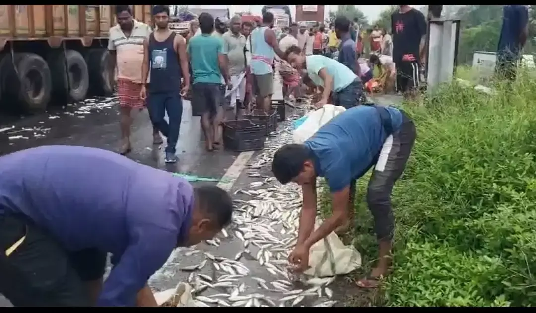 Jalpaiguri: ट्रक-पिकअप की टक्कर के बाद सड़क पर बिखरी मछलियां, भीड़ जुटी