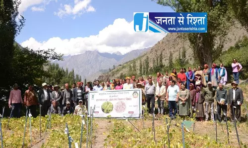 कुकुमसेरी में राजमाह फील्ड डे, 100 स्थानीय किसान हुए शामिल