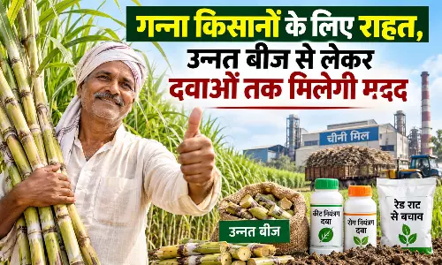 गन्ना किसानों के लिए राहत, उन्नत बीज से लेकर दवाओं तक मिलेगी मदद