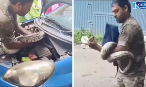 कार का बोनट खोला तो निकला सात फीट लंबा अजगर, रेस्क्यू का VIDEO वायरल