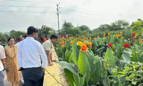 जिला पंचायत सीईओ ने टेमरी, बनारसी एवं माना बस्ती में विकास कार्यों का किया निरीक्षण