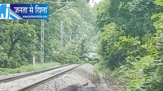चलती ट्रेन के सामने गिरा विशाल पेड़ लोको पायलट ने ऐसे टाला बड़ा हादसा चलती ट्रेन के सामने गिरा विशाल पेड़ लोको पायलट ने ऐसे टाला बड़ा हादसा