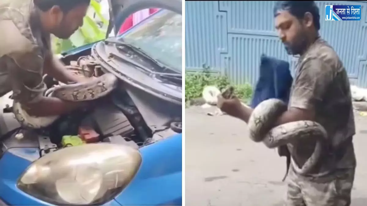 कार का बोनट खोला तो निकला सात फीट लंबा अजगर, रेस्क्यू का VIDEO वायरल कार का बोनट खोला तो निकला सात फीट लंबा अजगर, रेस्क्यू का VIDEO वायरल