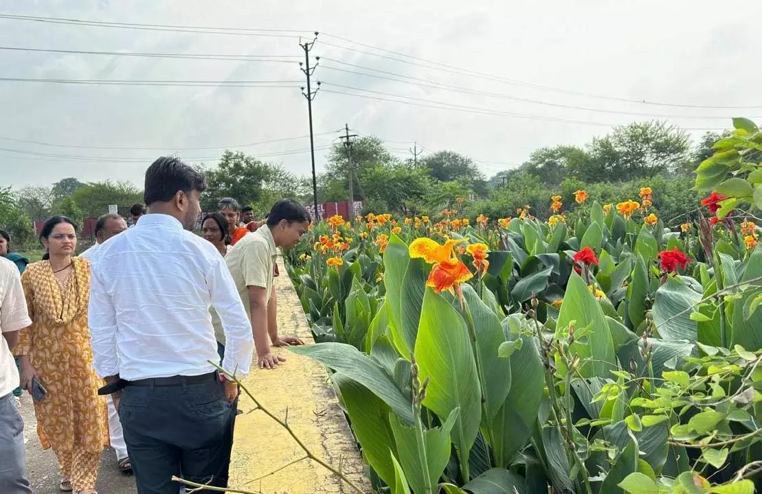 जिला पंचायत सीईओ ने टेमरी, बनारसी एवं माना बस्ती में विकास कार्यों का किया निरीक्षण जिला पंचायत सीईओ ने टेमरी, बनारसी एवं माना बस्ती में विकास कार्यों का किया निरीक्षण