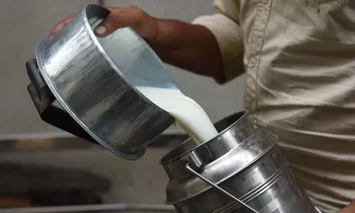 बठिंडा डेयरी किसानों की चेतावनी, कम दाम पर दूध बेचने पर जुर्माना