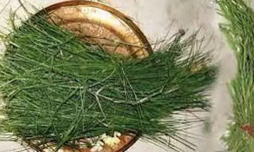 कुशाग्रहणी अमावस्या की तिथि, धार्मिक महत्व और प्रमुख उपाय