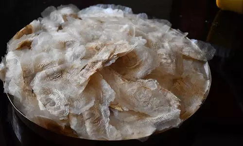 आर्लू का पेड़: किन्नौरी संस्कृति की अनमोल धरोहर आर्लू का पेड़: किन्नौरी संस्कृति की अनमोल धरोहर