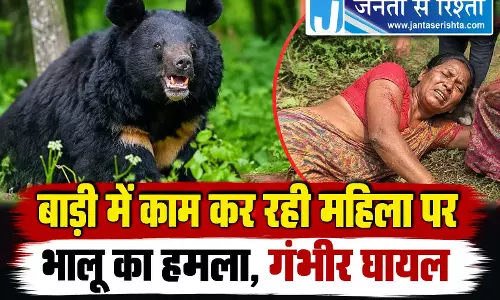 बाड़ी में काम कर रही महिला पर भालू का हमला, गंभीर घायल