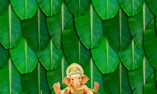 गणपति उत्सव में छाएगी आपकी सजावट पान पत्तों से तैयार करें सुंदर झांकी गणपति उत्सव में छाएगी आपकी सजावट पान पत्तों से तैयार करें सुंदर झांकी