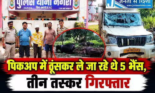 पिकअप में ठूंसकर ले जा रहे थे 5 भैंस, तीन तस्कर गिरफ्तार पिकअप में ठूंसकर ले जा रहे थे 5 भैंस, तीन तस्कर गिरफ्तार