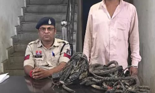 हाइवा का केबल चुराने वाला आरोपी गिरफ्तार, 30 हजार का माल बरामद
