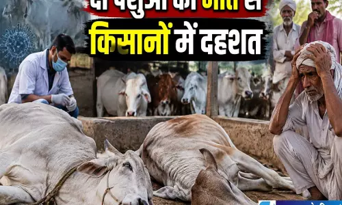 पशुओं की मौत से बढ़ी चिंता जम्मू गांव में बीमारी को लेकर किसानों में डर