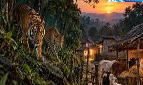 बाघ तेंदुए हाथी का डर कम असली खतरा बना साइलेंट किलर