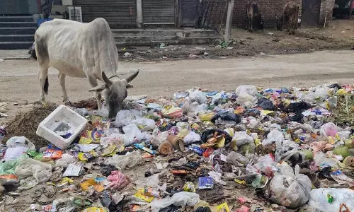 सिरसा में सफाईकर्मियों की हड़ताल से कचरा बढ़ा