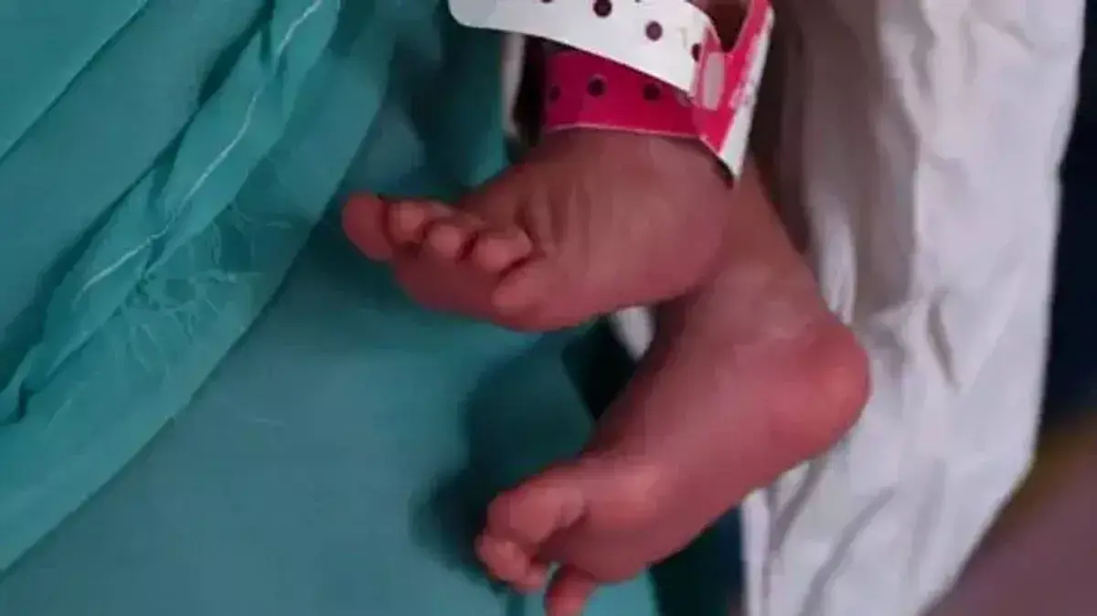 पुनालुर तालुक अस्पताल में हड़कंप: नवजात की मौत पर बवाल पुनालुर तालुक अस्पताल में हड़कंप: नवजात की मौत पर बवाल