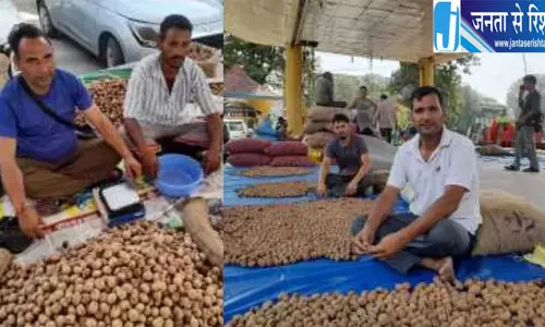 आपदाओं के बाद मंडी में लौटेगी खुशियां, सायर पर्व बनेगा उम्मीद और परंपरा का उत्सव आपदाओं के बाद मंडी में लौटेगी खुशियां, सायर पर्व बनेगा उम्मीद और परंपरा का उत्सव