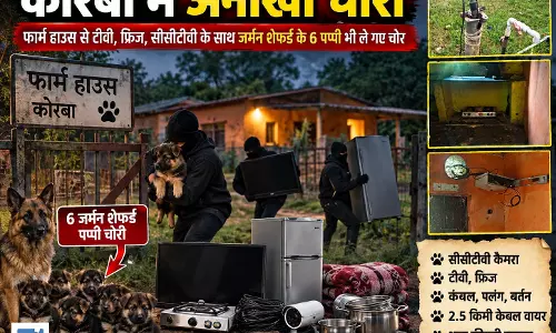 कोरबा में अनोखी चोरी, CCTV से लेकर केबल और पालतू पप्पी तक गायब