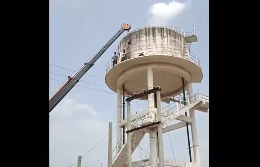60 फीट ऊंची टंकी पर 42 घंटे फंसा रहा सांड, ऐसे बचाई गई जान 60 फीट ऊंची टंकी पर 42 घंटे फंसा रहा सांड, ऐसे बचाई गई जान